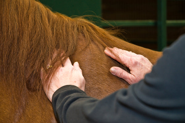 the difference of acupressure and acupuncture