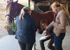 3 women standing near to horse discussing acupressure methods through a notebook 
