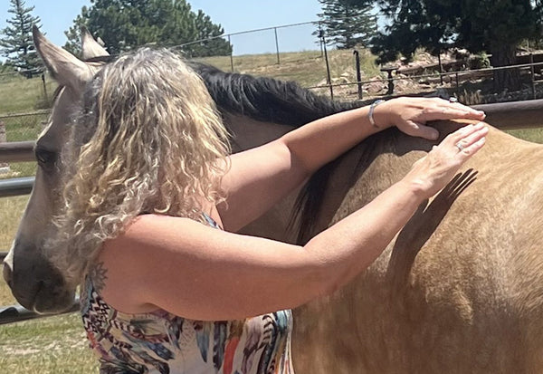Woman doing acupressure on Horse