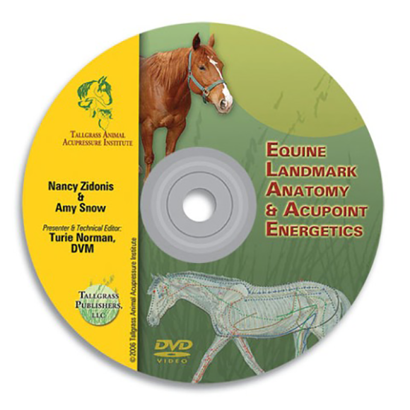 Digital-Equine Acupoints & Anatomy DVD