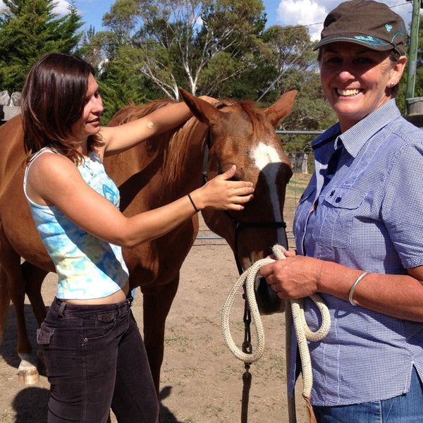 equine acupressure for horse owners