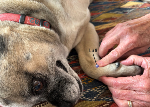 Acupressure helps breathing Lu 9