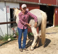 Image of Equine Animal Acupressure Practitioner Jodi Brassard