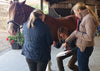 8.0 Proficiency Verification - Equine or Small Animal