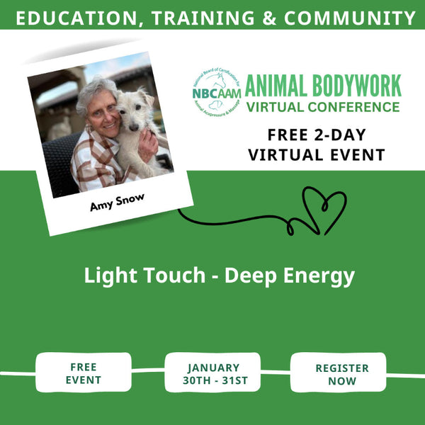 Advertisement for Amy Snow and Tallgrass Animal Acupressure Resources for virtual animal bodywork conference