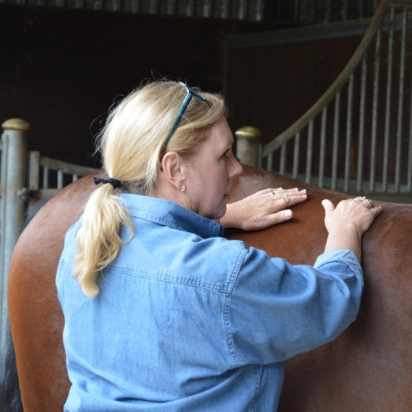 8.0 Proficiency Verification - Equine or Small Animal
