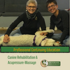 Canine Rehabilitation & Acupressure-Massage