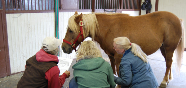 3 women sitting near to horse discussing acupressure techniques