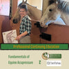 Fundamentals of Equine Acupressure - Level 2