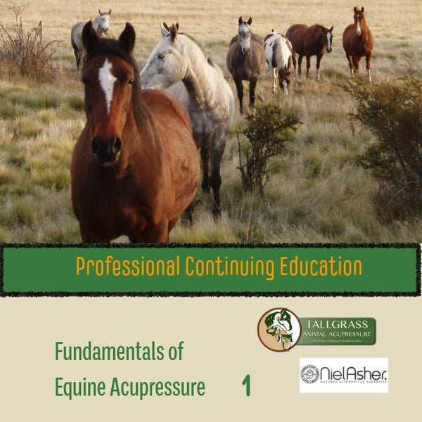 Tui Na and Acupressure Training