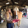 8.0 Proficiency Verification - Equine or Small Animal