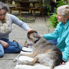 Amy Snow shows dog acupressure session