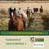 Fundamentals of Equine Acupressure - Level 1