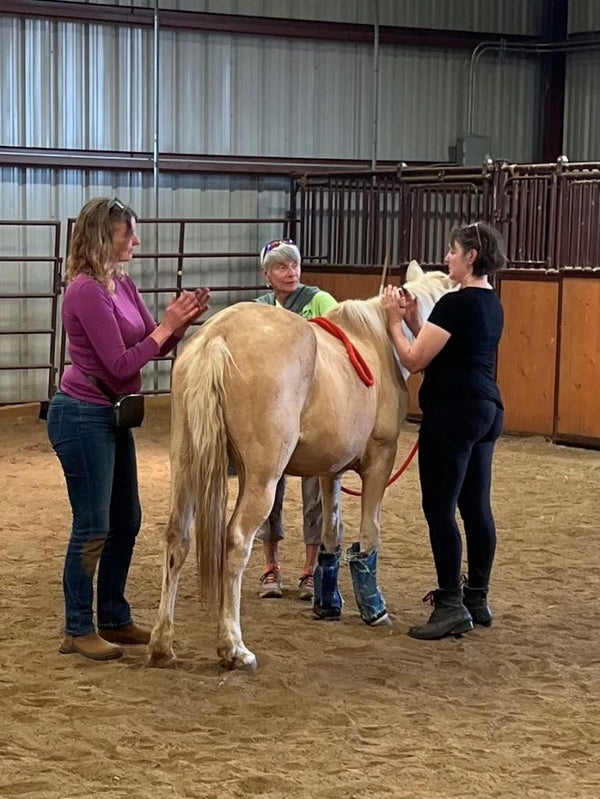 3 women standing near to horse discussing acupressure techniques