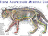 A color-coded chart depicting the meridian acupoints on a feline figure, with anatomical locations and all major meridian lines marked. Color coded to 5-Elements