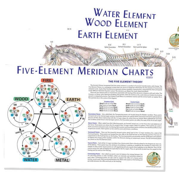 equine meridian charts and acupoints