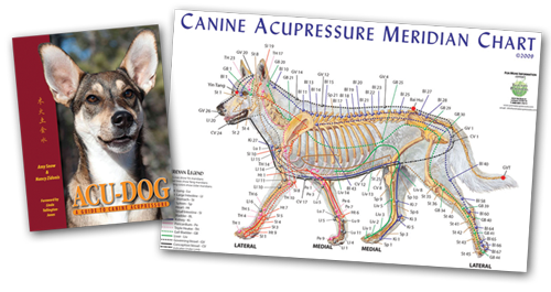 Acu-Dog & Canine Meridian Acupoint Chart
