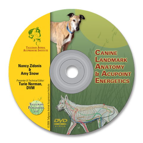 Canine Acupoints & Anatomy DVD