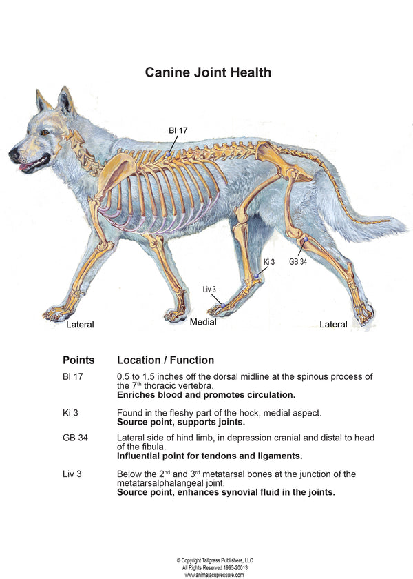 acupressure chart for canine joint health, ACU-DOG: Guide to Canine Acupressure