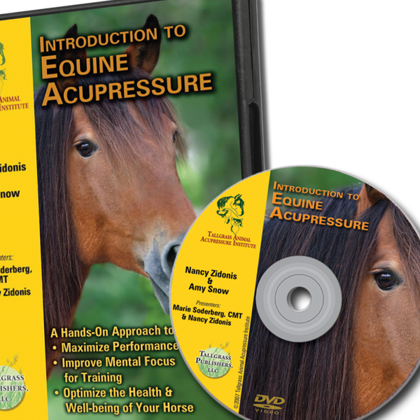 video intro to equine acupressure