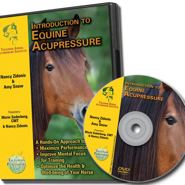 Video Introduction to Equine Acupressure