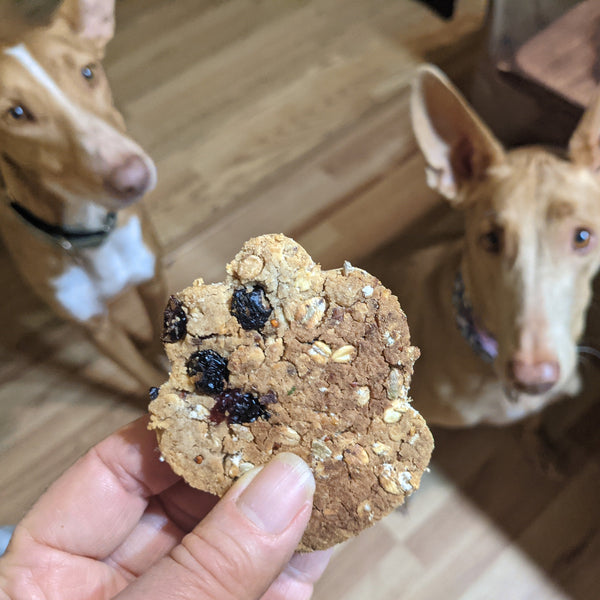 Learn to use TCM in cooking for your dogs