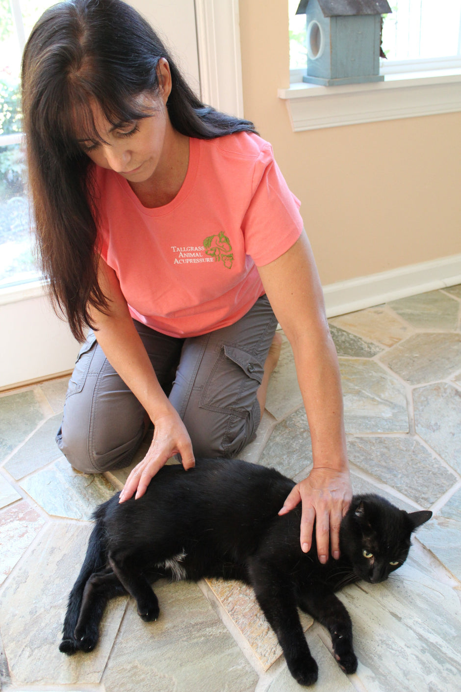 ACUCAT A Guide to Feline Acupressure