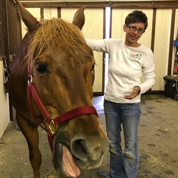 Equine acupressure treatment