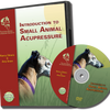 video intro to acupressure for dogs and cats