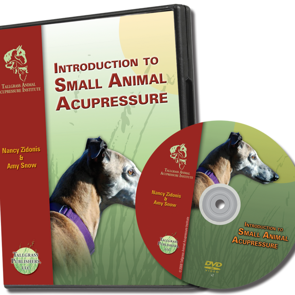 video of dog and cat acupressure techniques