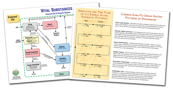 Zang-Fu Patterns & Vital Substances Chart