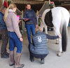 Learn acupressure for your animals - animal acupressure education