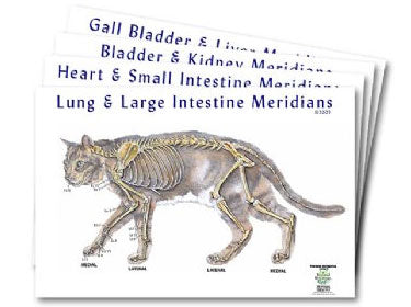 Feline 5-Element Meridian Chart Set