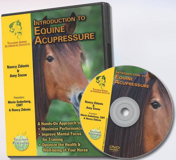 Learn acupressure for your animals - animal acupressure education